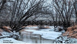 Trail bridge over creek Courtesy of Nichole Plagge